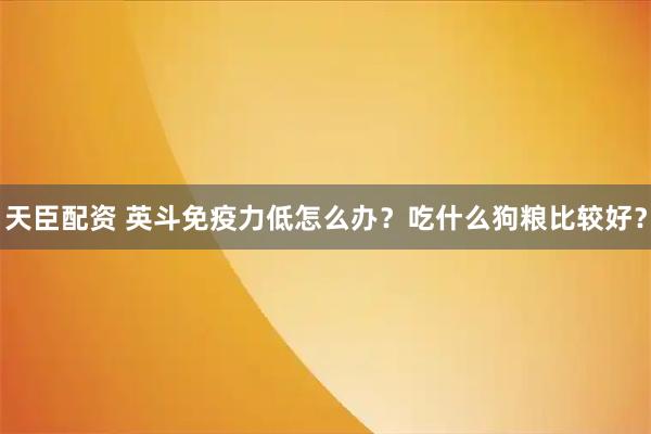 天臣配资 英斗免疫力低怎么办？吃什么狗粮比较好？