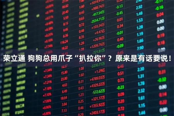 荣立通 狗狗总用爪子“扒拉你”？原来是有话要说！