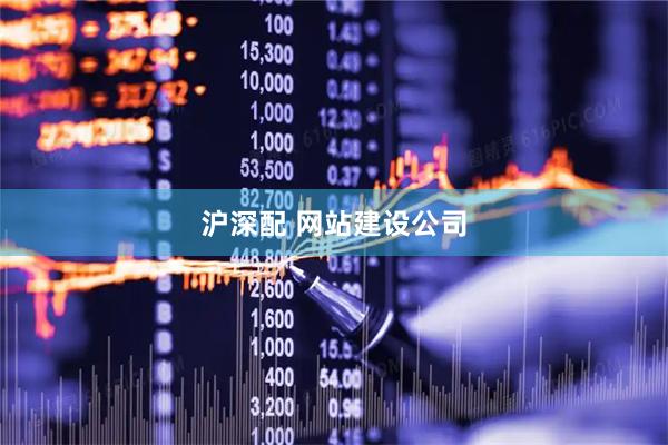 沪深配 网站建设公司